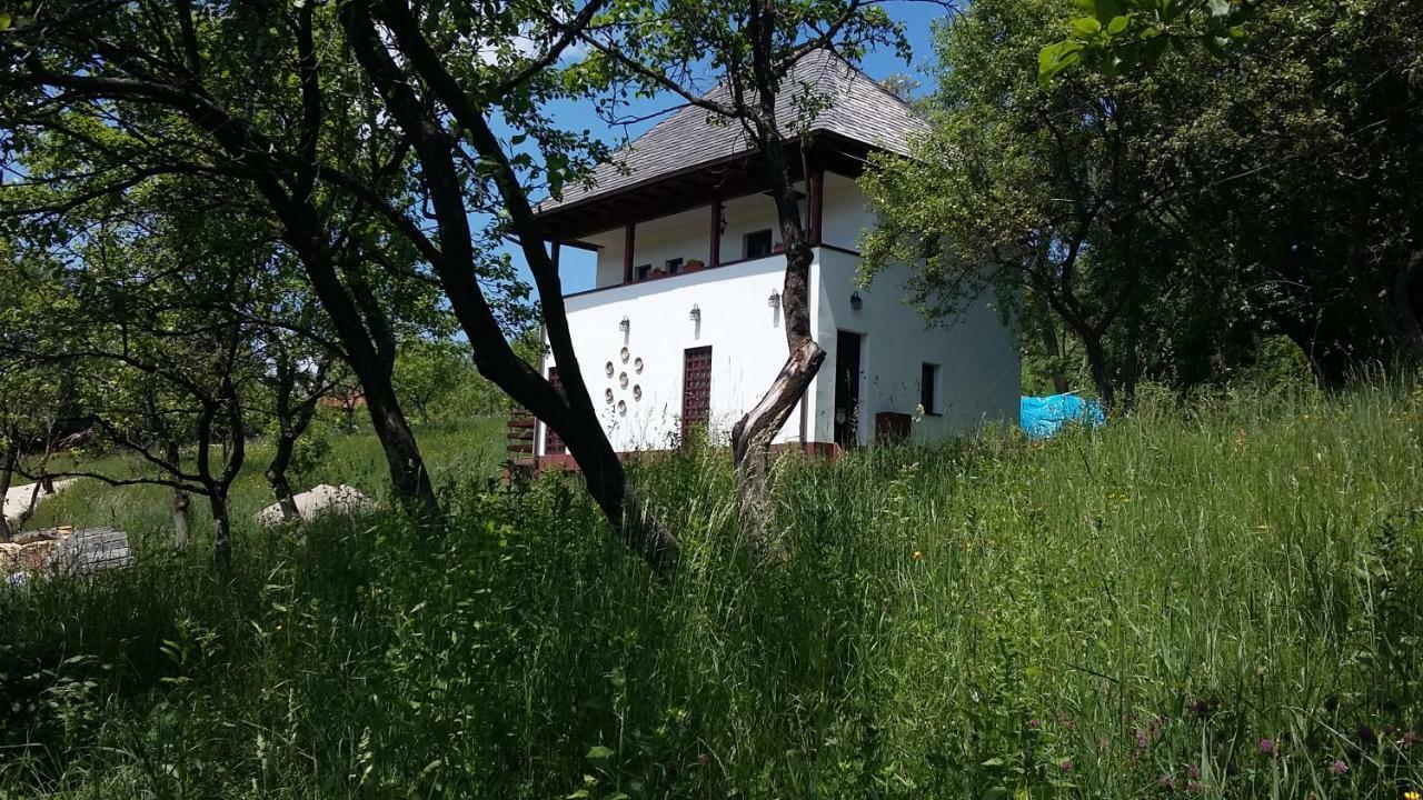 Cottage Poe Poienari 外观 照片