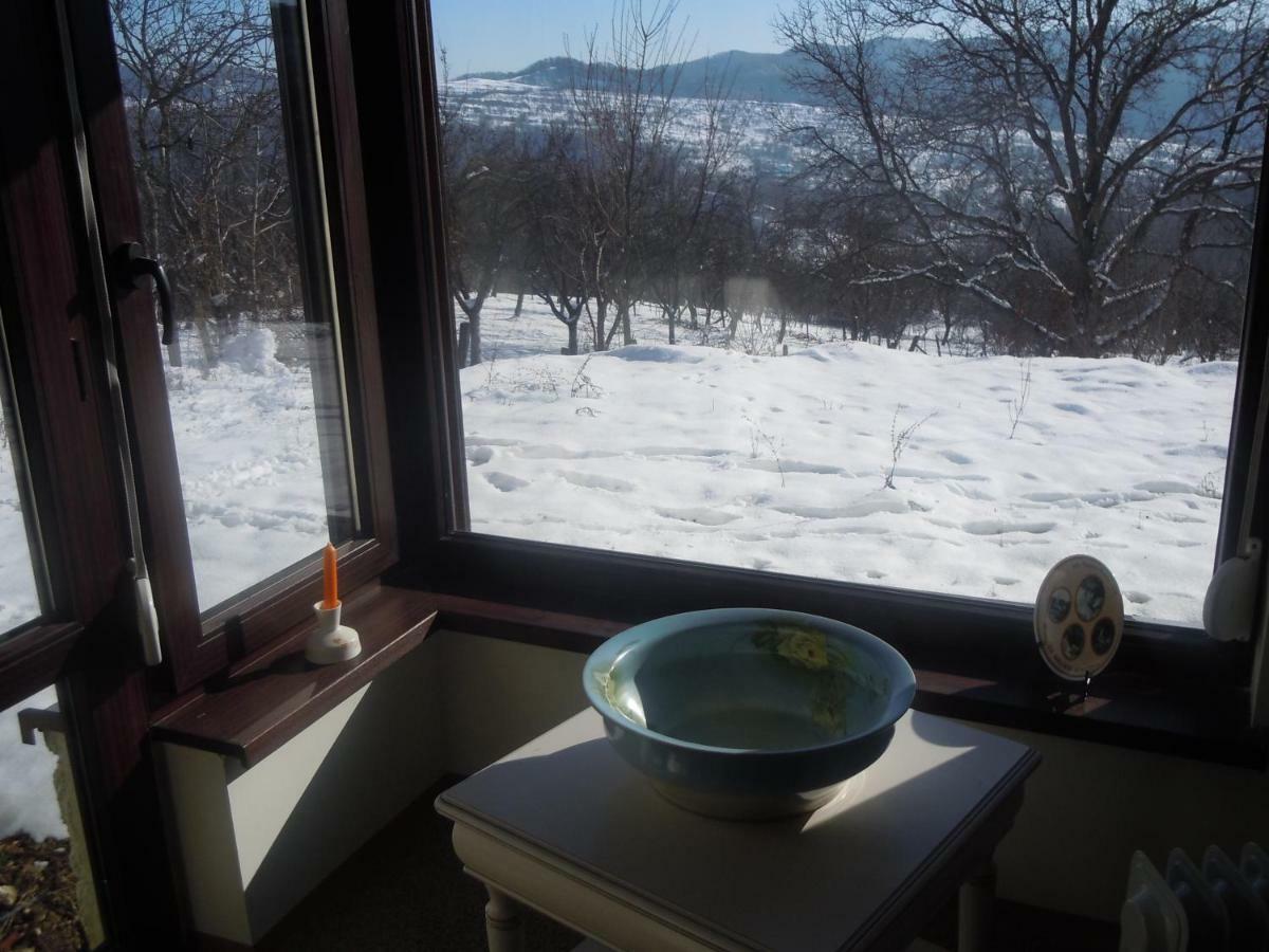Cottage Poe Poienari 外观 照片