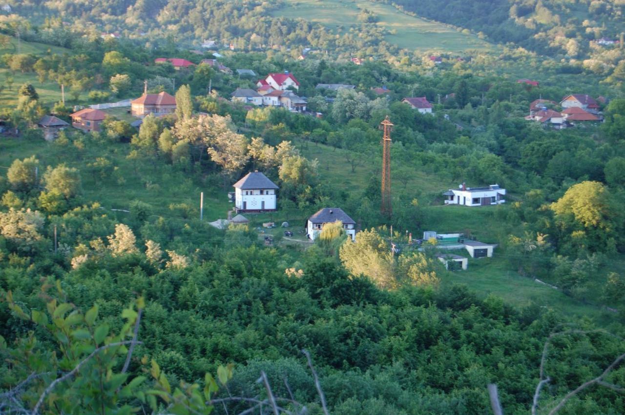 Cottage Poe Poienari 外观 照片