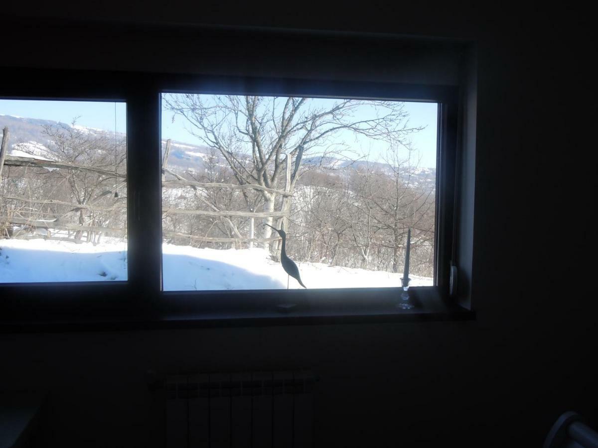Cottage Poe Poienari 外观 照片