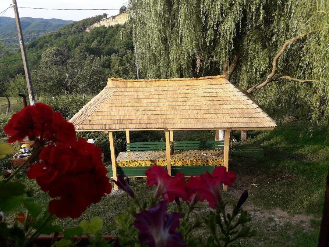 Cottage Poe Poienari 外观 照片